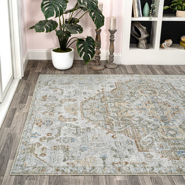 Shaemus Bohemian Medallion Low-Pile Machine-Washable Area Rug